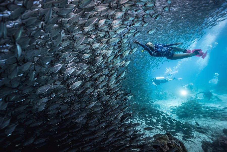 Diving into Paradise: Raja Ampat